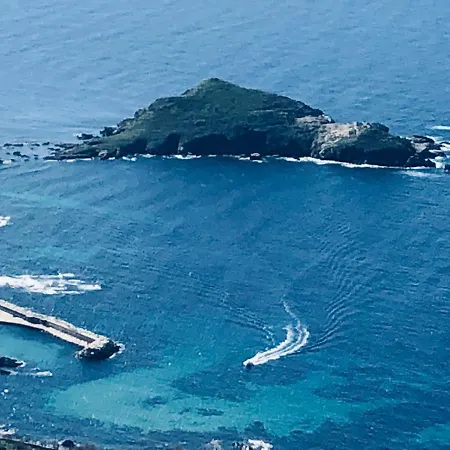 Restaurant L'europe Saint-Florent (Corsica)