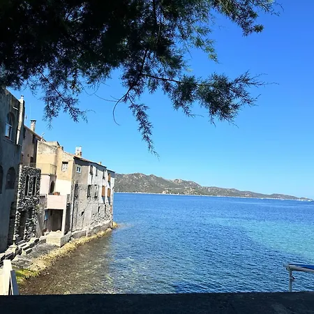 Restaurant L'europe Saint-Florent (Corsica)