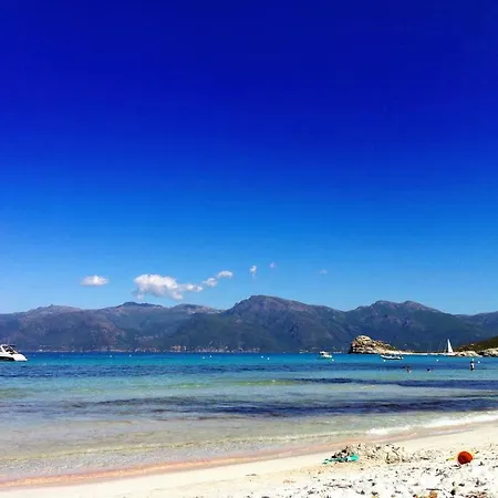 Restaurant L'europe Hotel