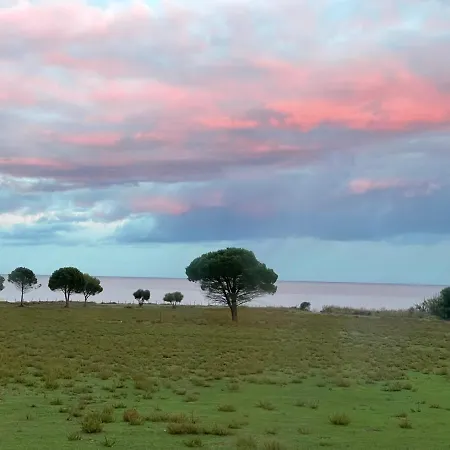 Restaurant L'europe 2*