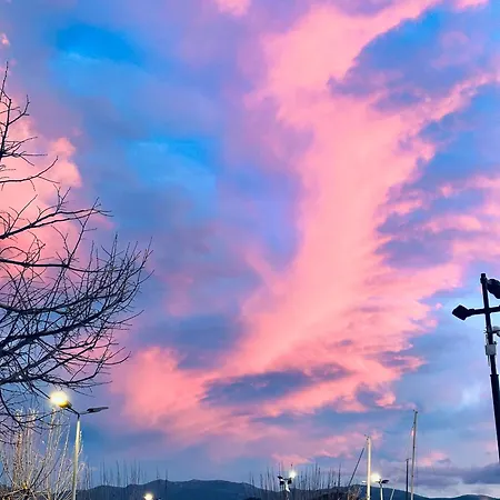Hotel Restaurant L'europe Saint-Florent (Corsica)