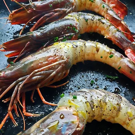 Restaurant L'europe Hotel Saint-Florent (Corsica)