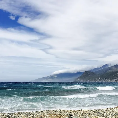 Restaurant L'europe 2*