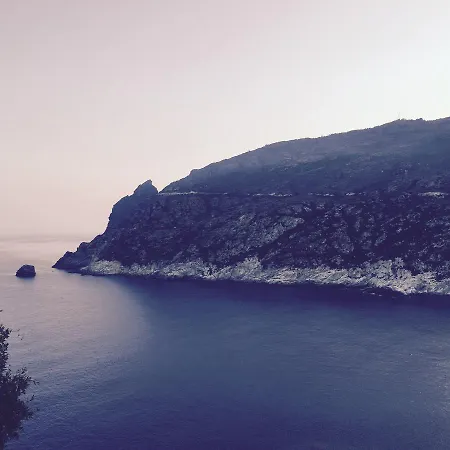 Restaurant L'europe 2* サン・フロラン