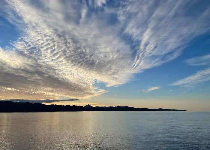 Restaurant L'europe Saint-Florent (Corsica)