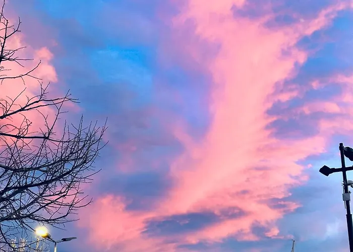 Hotel Restaurant L'europe Saint-Florent (Corsica)