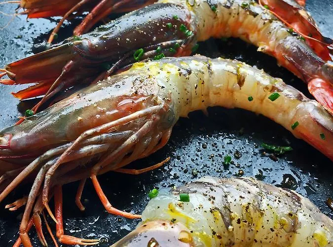 Restaurant L'europe Hotel Saint-Florent (Corsica)