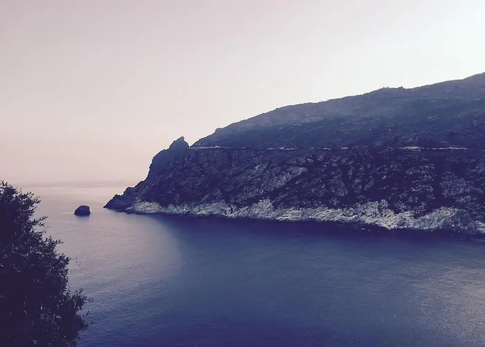 Restaurant L'europe 2* Saint-Florent (Corsica)