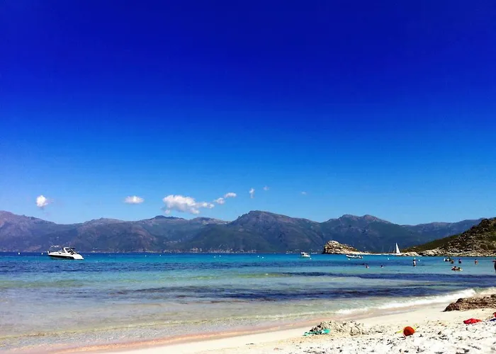 Restaurant L'europe Hotel